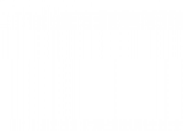 TSS Diesel TDR-K 18 4L