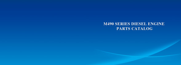 TSS Diesel TDR-K 25 4L